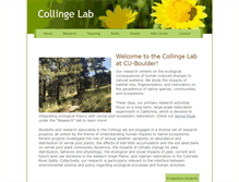 Tablet Screenshot of collingelab.com